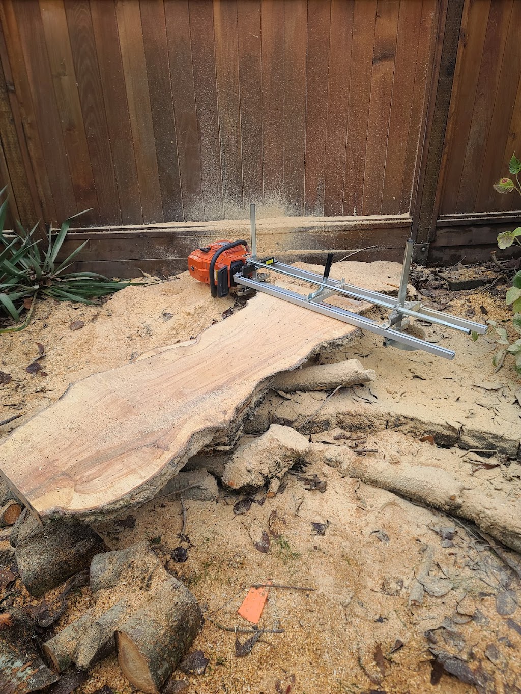 Roots & Connections Tree Service | 1572 Giles Pl, Burnaby, BC V5A 3K6, Canada | Phone: (604) 808-8733