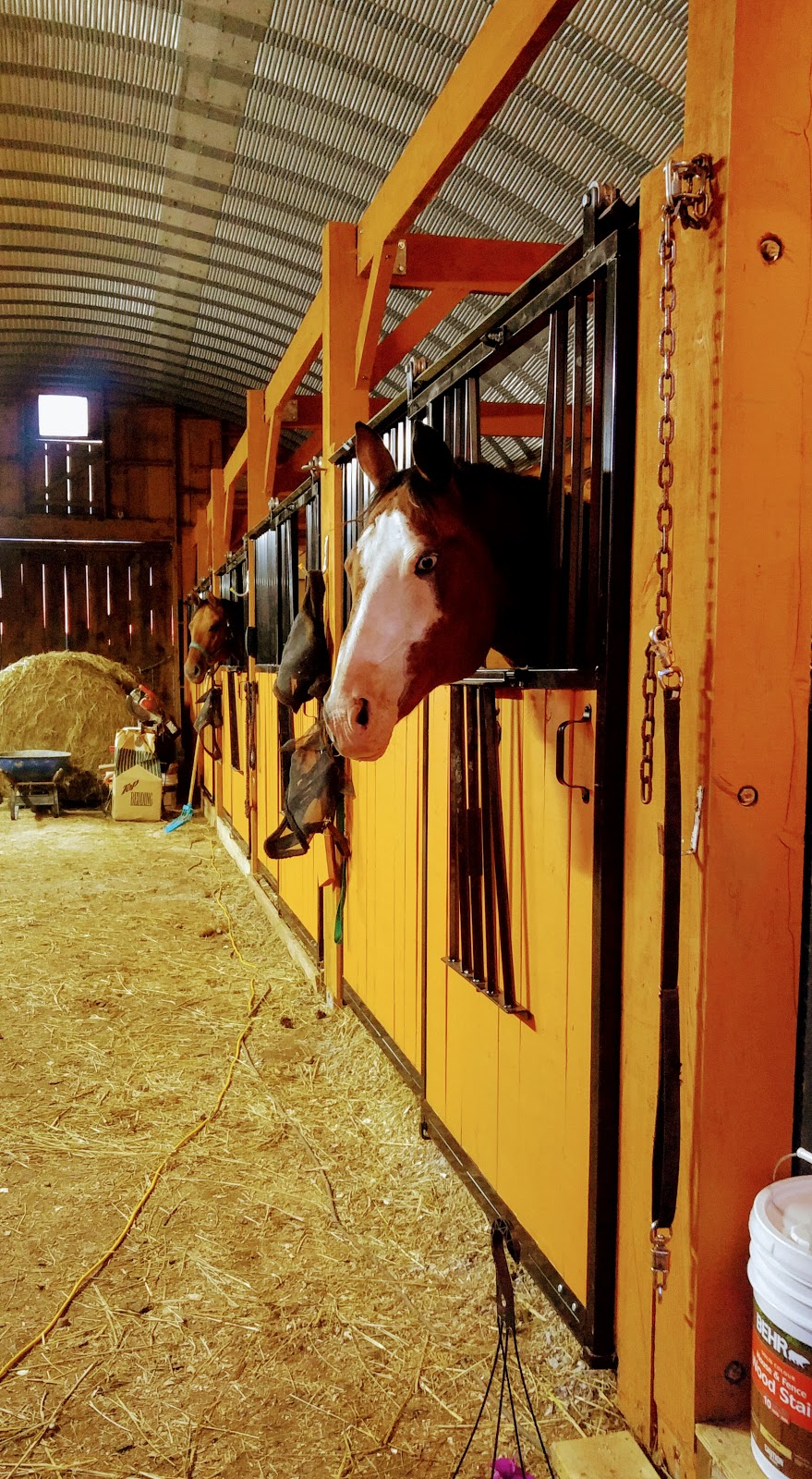 Deltawood Farm | 1648 County Rd 42, Delta, ON K0E 1G0, Canada | Phone: (613) 928-2871
