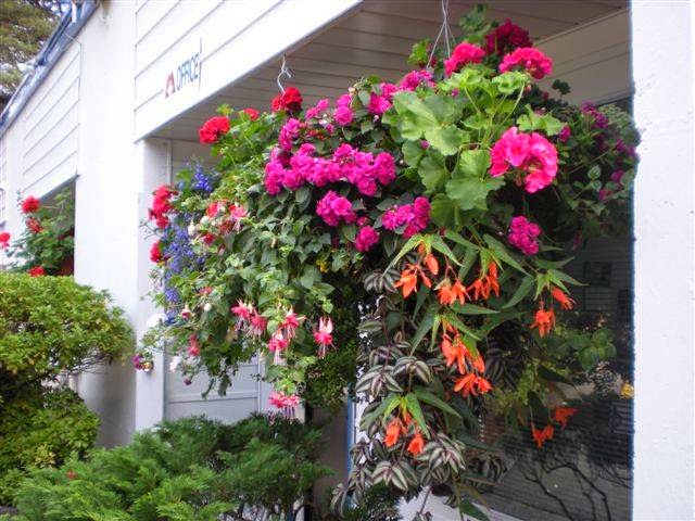 Maple Leaf Self Storage Burnaby | 7705 Griffiths Dr, Burnaby, BC V3N 4P1, Canada | Phone: (604) 522-1562