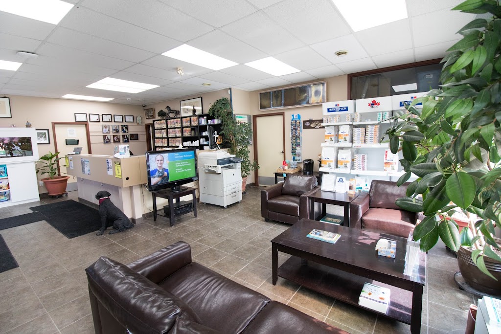 Animal Hospital of Manitoba | 995 Main St, Winnipeg, MB R2W 3P8, Canada | Phone: (204) 586-3334