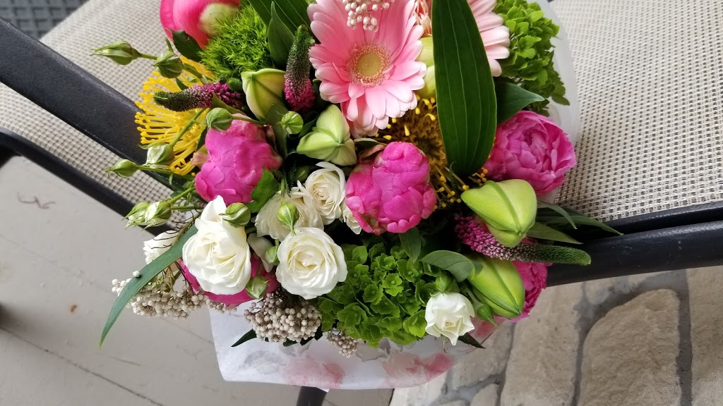Bloom Plus | 3160 Yonge St, Toronto, ON M4N 2K6, Canada | Phone: (416) 322-0088