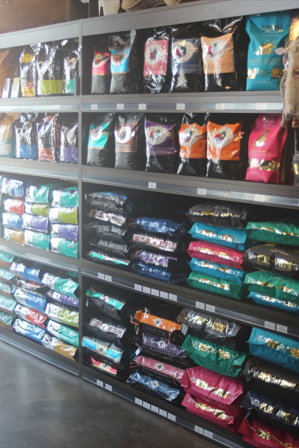 Our Dog & Company | 129 Pedersen Dr, Aurora, ON L4G 0E3, Canada | Phone: (905) 713-3489