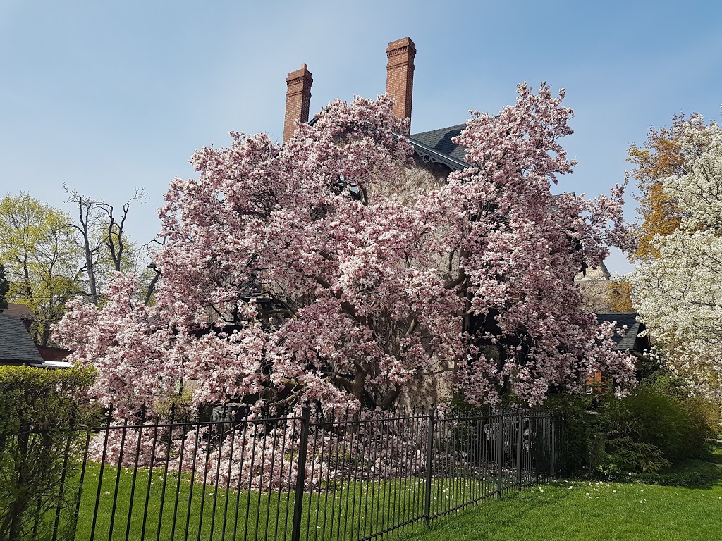Durand Park | 250 Park St S, Hamilton, ON L8P 3G3, Canada