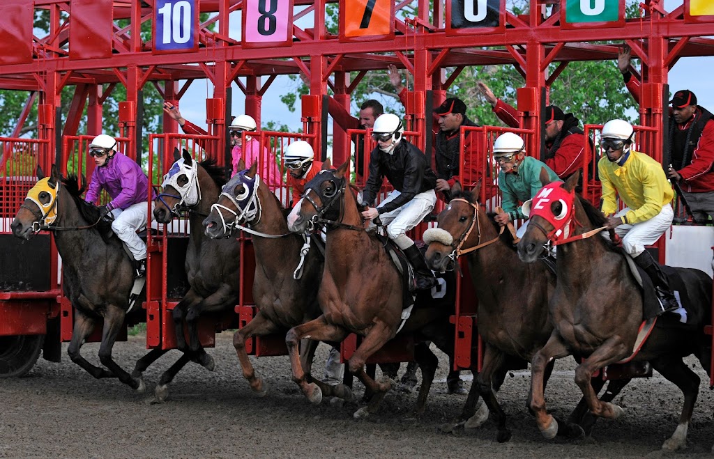 Assiniboia Downs | 3975 Portage Ave, Winnipeg, MB R3K 2E9, Canada | Phone: (204) 885-3330
