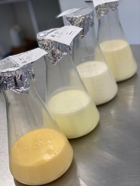 NorthernStar Mothers Milk Bank | 6712 Fisher St SE #160, Calgary, AB T2H 2A7, Canada | Phone: (403) 475-6455