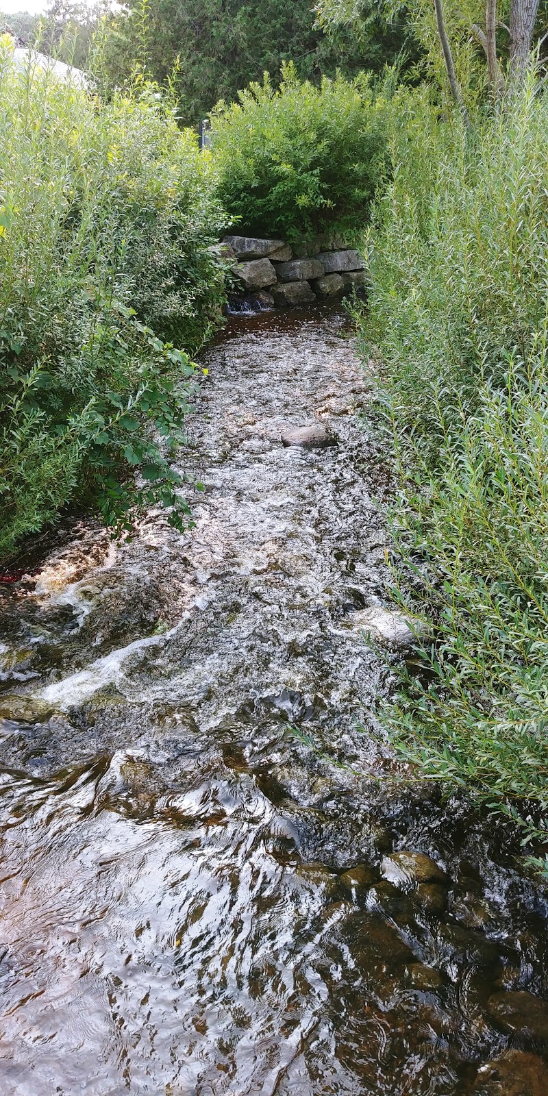 Churchill Park Water Area | Christopher-Champlain, Cambridge, ON N1R, Canada | Phone: (519) 740-4681