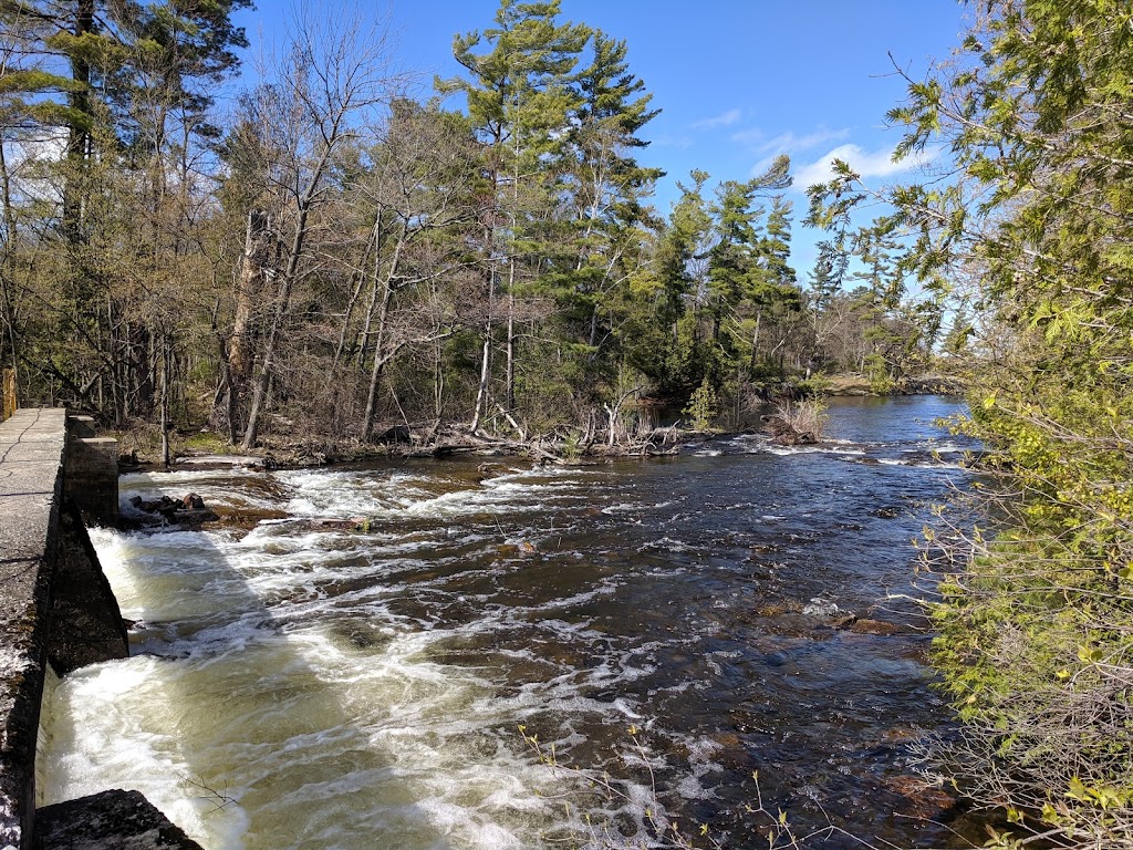 Trent-Severn Waterway, Lock 30 - Lovesick | Peterborough, ON K0L 2H0, Canada | Phone: (705) 654-3561