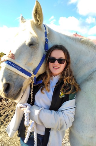 Les Ecuries Knight Stables | 104 Chem. Mclinton, Wakefield, QC J0X 3G0, Canada | Phone: (819) 930-0532