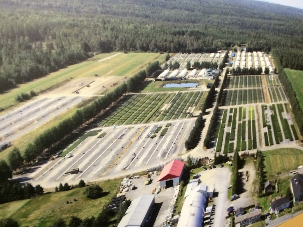 Bechedor inc. | 1508 25e Av, Saint-Prosper, QC G0M 1Y0, Canada | Phone: (418) 594-8580