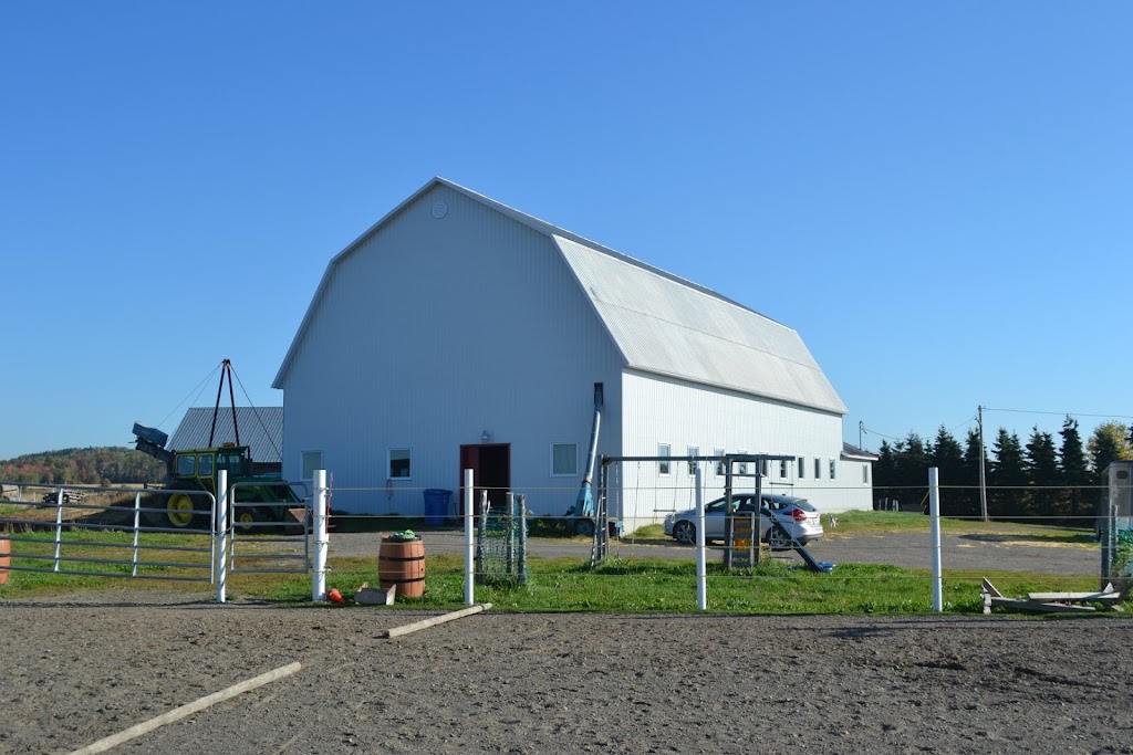 Les Écuries de la Seigneurie | 173 Chem. de la Seigneurie, Saint-Arsène, QC G0L 2K0, Canada | Phone: (418) 863-4715