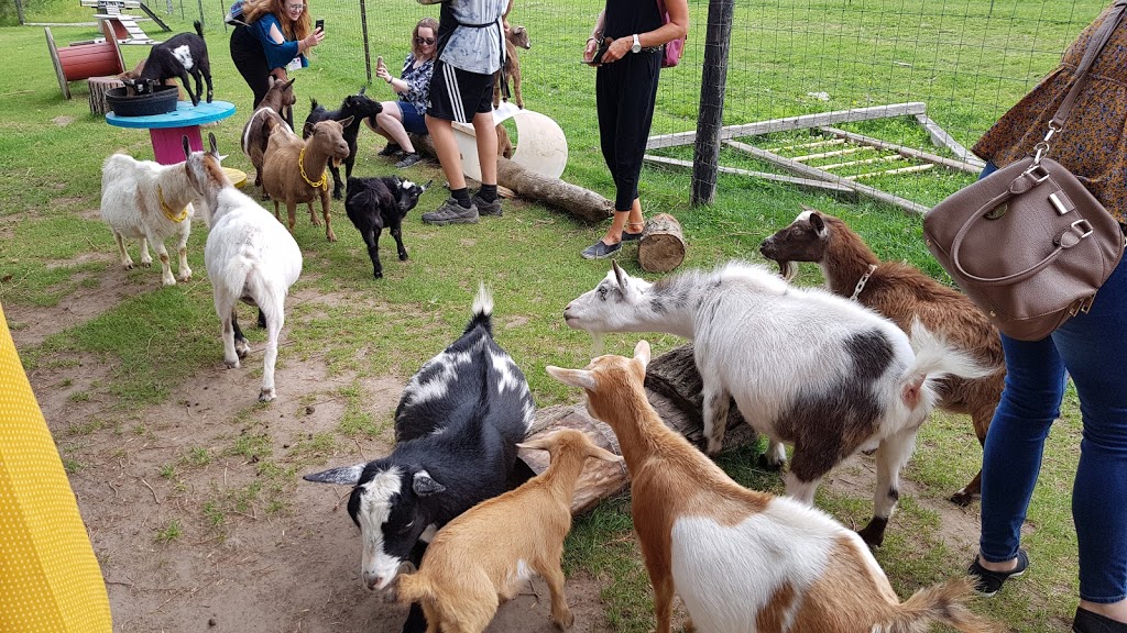 Haute Goat | 1166 5th line, Newtonville, ON L0A 1J0, Canada | Phone: (905) 447-3788
