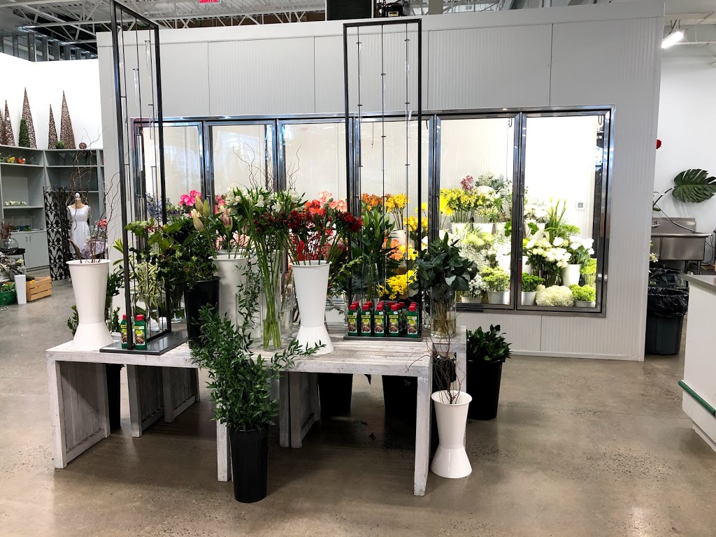 Floralies Jouvence | 2020 Avenue Jules-Verne, Québec, QC G2G 2R2, Canada | Phone: (418) 872-0869