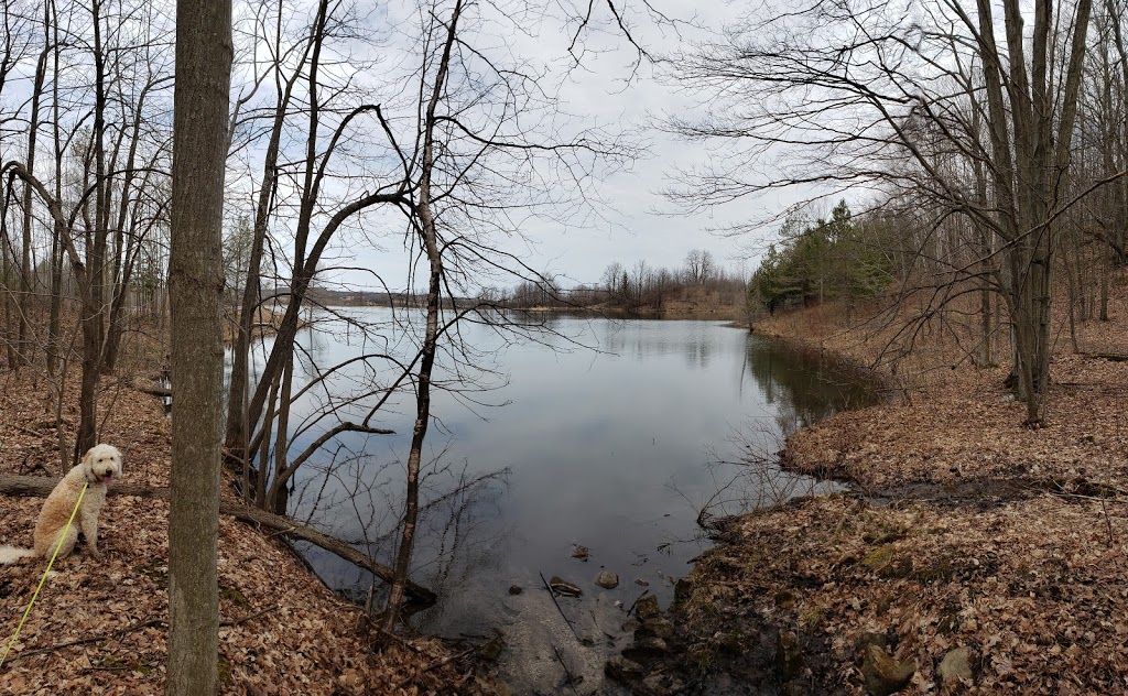 Noisy River Provincial Park | Creemore, ON L0M 1G0, Canada | Phone: (705) 429-2516