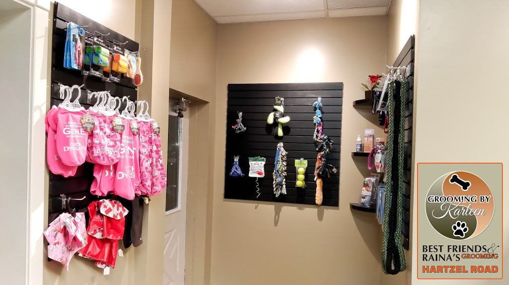 Best Friends & Rainas Grooming - By Karleen | 103 Pine St S, Thorold, ON L2V 3M2, Canada | Phone: (905) 682-7387