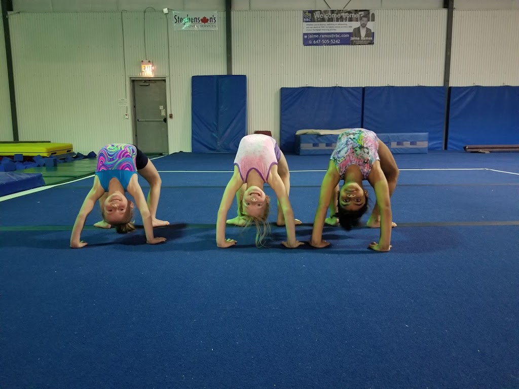 Gemini Gymnastics | 1000 Stevenson Rd N, Hangar #3, Oshawa, ON L1J 5P5, Canada | Phone: (905) 576-2164