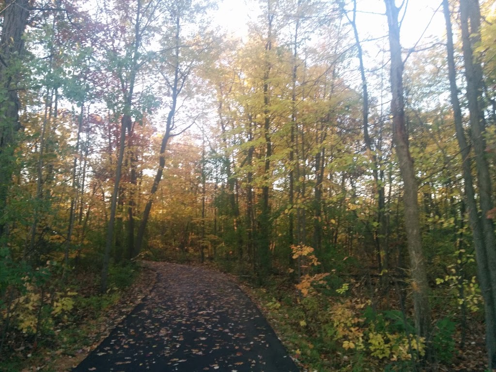 Dr. Martin L. Dobkin Community Park | 395 Fairview Rd W, Mississauga, ON L5B 4C7, Canada | Phone: (905) 858-5959