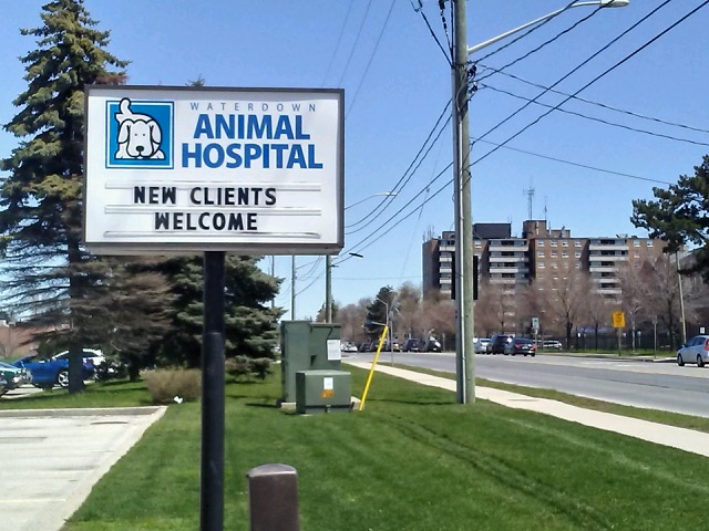 Waterdown Animal Hospital | 245 Dundas St E, Hamilton, ON L8B 0E9, Canada | Phone: (905) 689-5397