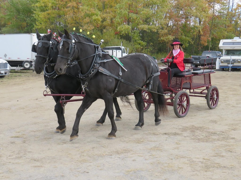 DICE Agricultural Services | Vimy Ridge Rd, Cobourg, ON K9A 4J7, Canada | Phone: (519) 498-1376