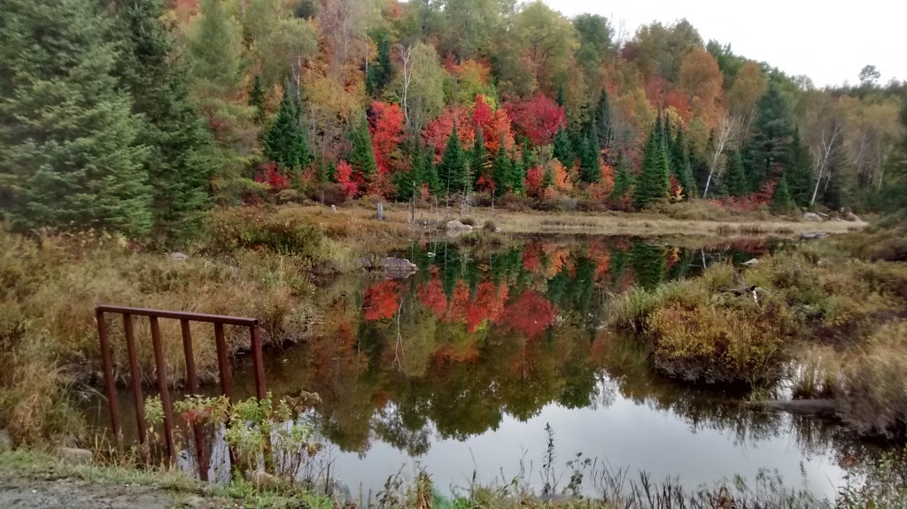 Pourvoirie Baroux Inc | 1141 Chemin de la Pourvoirie Baroux, Amherst, QC J0T 2L0, Canada | Phone: (819) 425-7882
