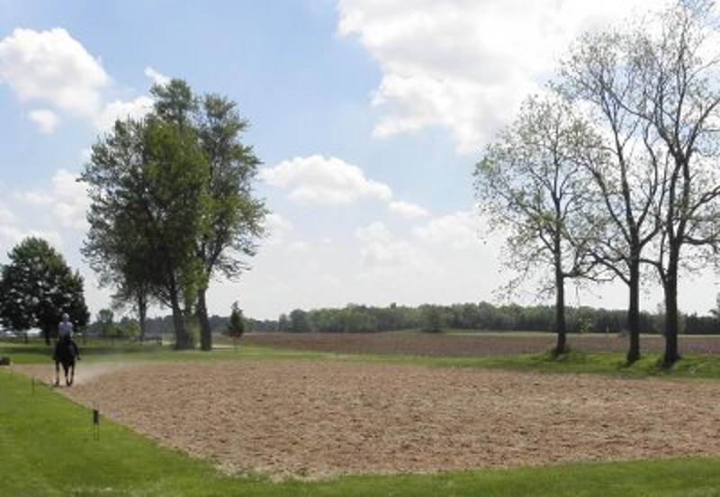 Briar Quest Farm | 5225 Westdel Bourne, London, ON N6P 1P3, Canada | Phone: (519) 660-9750