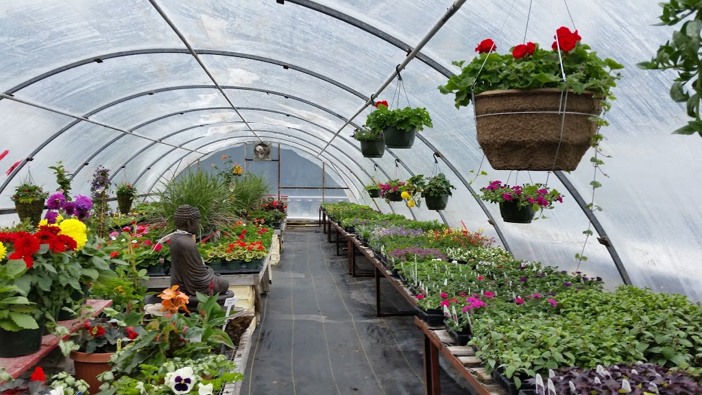 Stone Creek Gardens | AB-66, Bragg Creek, AB T0L 0K0, Canada