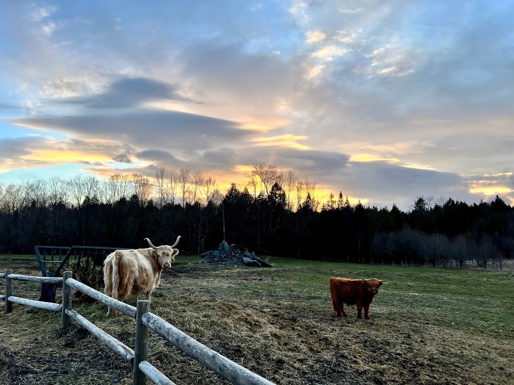 Ther-Hart Ranch | 2050 Chem. Lagueux, Stanstead, QC J0B 3E1, Canada | Phone: (819) 238-4701