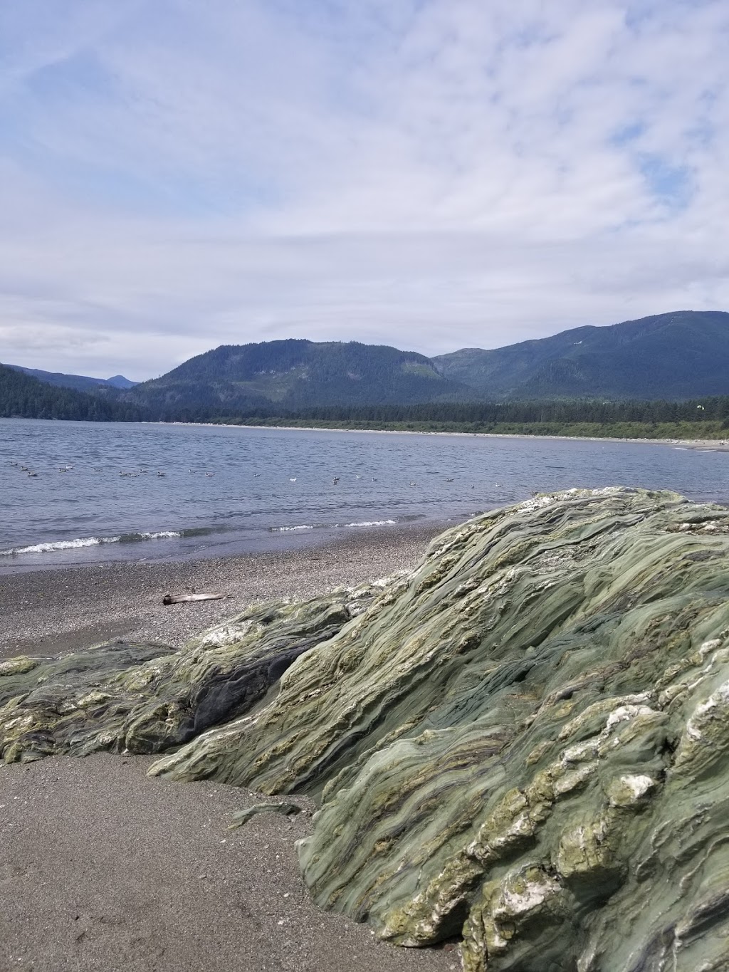 The Whale’s Tale Vacation Rental | 6656 Queesto Dr, Port Renfrew, BC V0S, Canada | Phone: (778) 746-1908