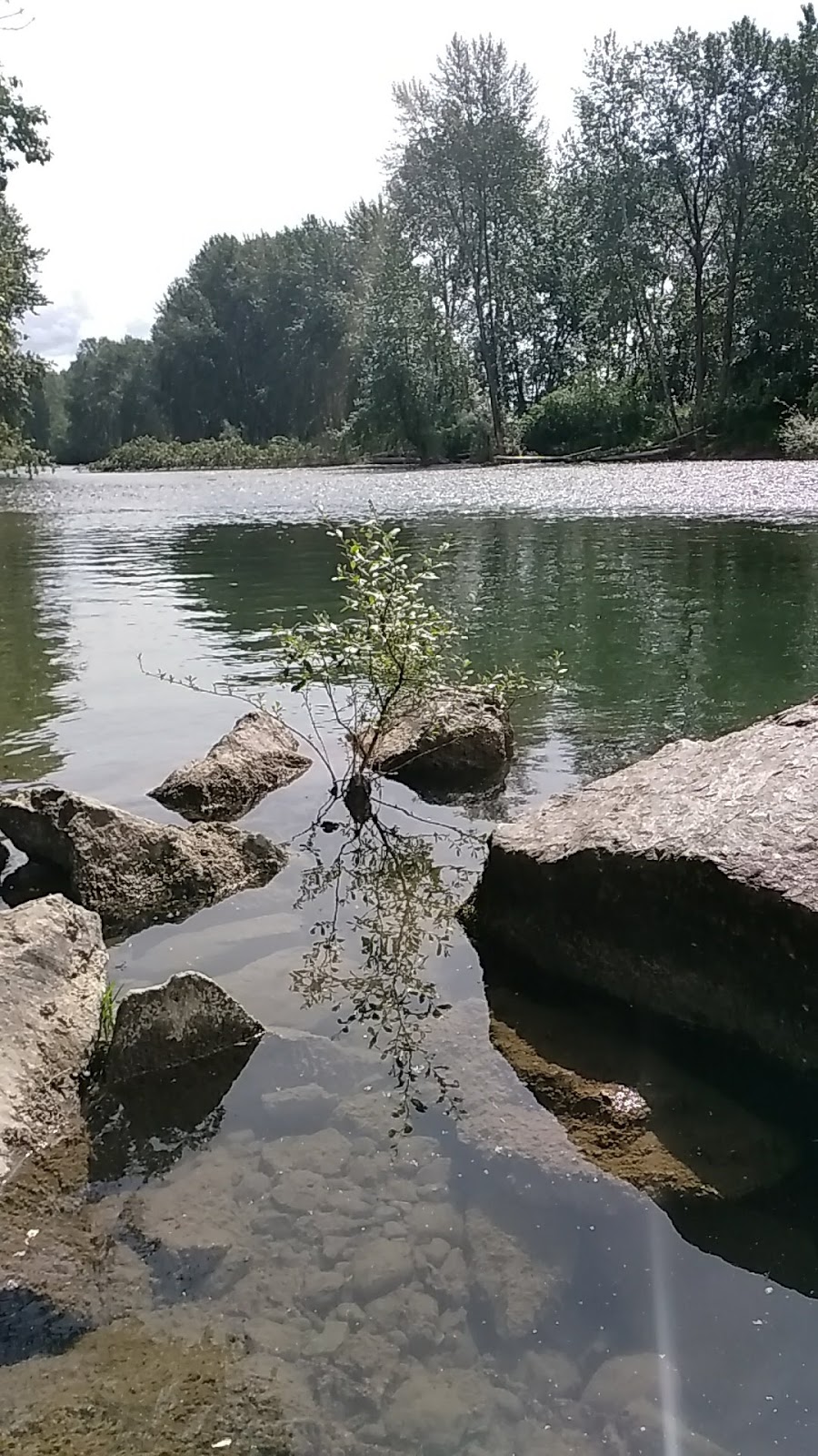 Rotary Park | 545 Al Wilson Grove, Duncan, BC V9L 5E4, Canada | Phone: (250) 746-6126