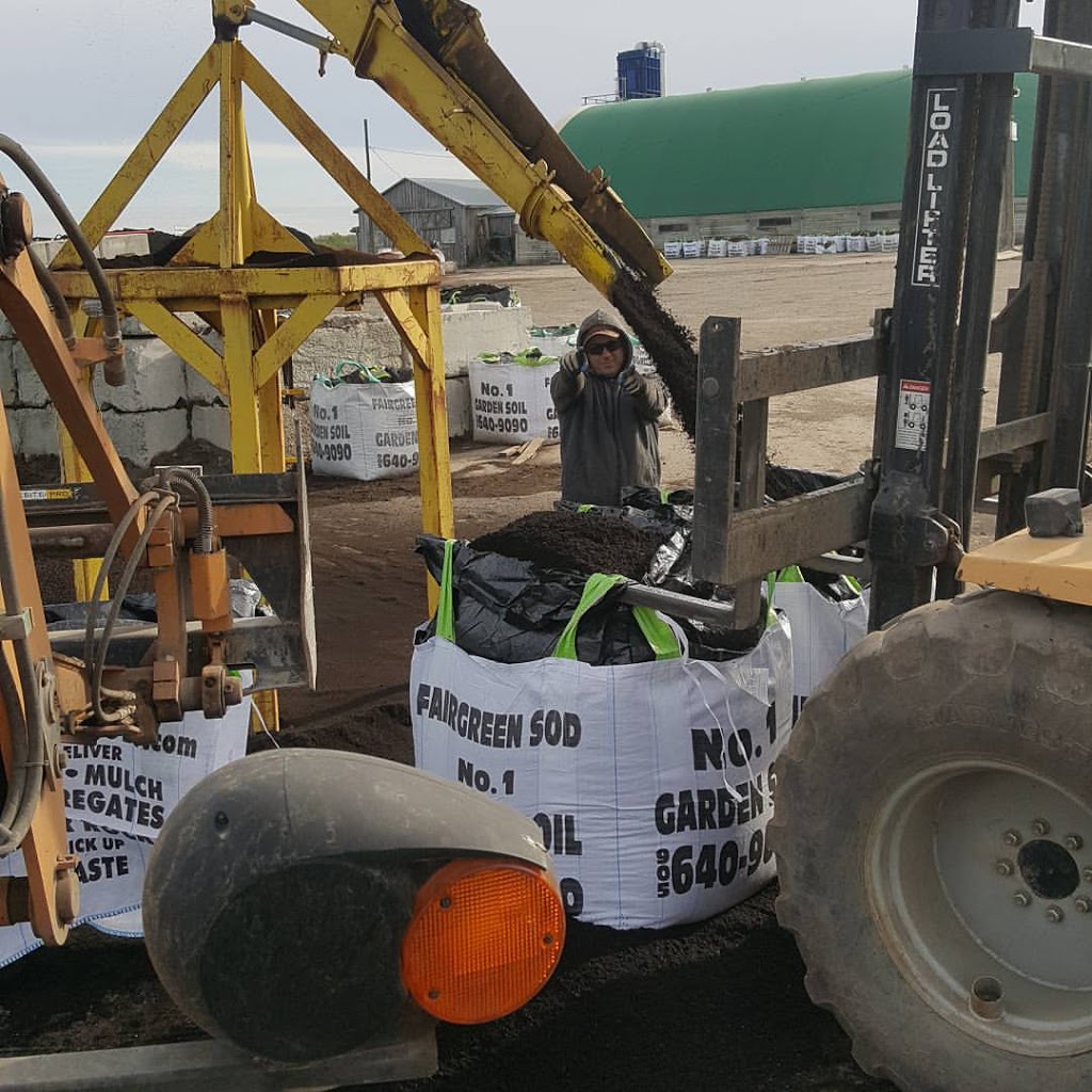 Fairgreen Sod Farms North | 137 Line 9 S, Hawkestone, ON L0L 1T0, Canada | Phone: (705) 487-3000