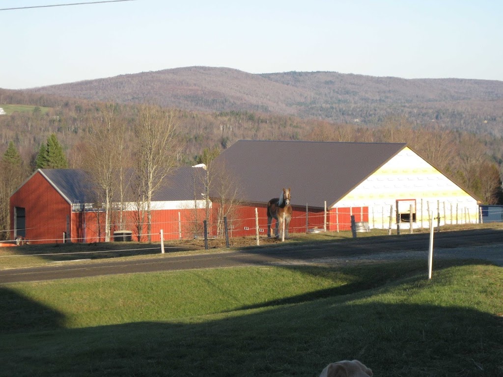 Reining Hope AEAAT LLC and Reining Hope THP LTD a 501(c)3 Non-pr | 574 Sunset Dr, Morgan, VT 05853, USA | Phone: (802) 895-9166