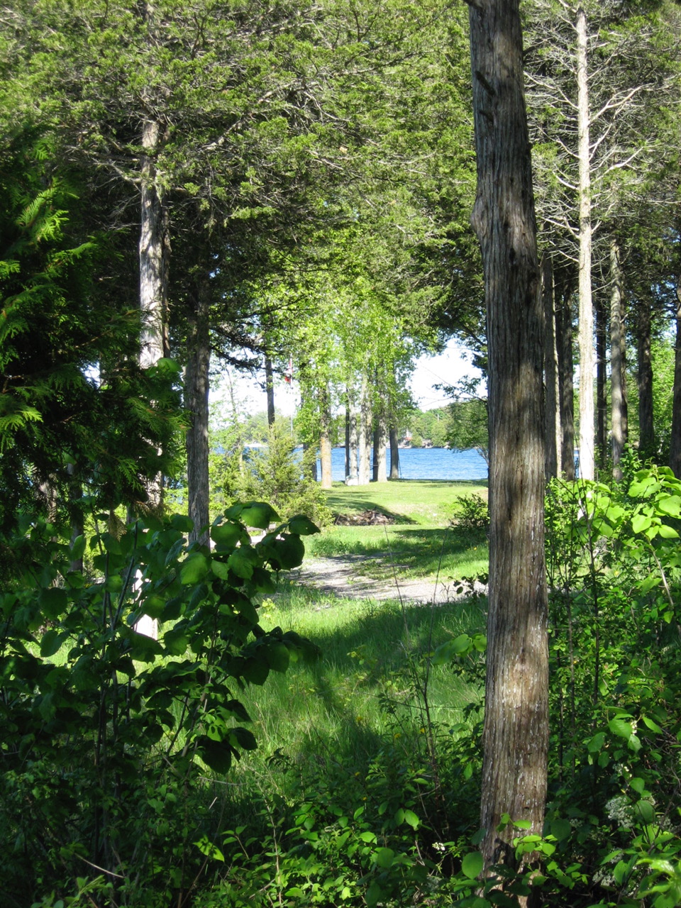 Kates Rest Foundation | 1579 N Big Island Rd, Demorestville, ON K0K 1W0, Canada | Phone: (613) 476-3600