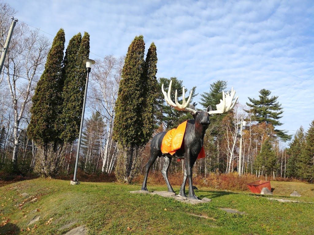 B&L Liquor Store & Convenience | 593 Main St, Doaktown, NB E9C 1Y3, Canada | Phone: (506) 365-7907