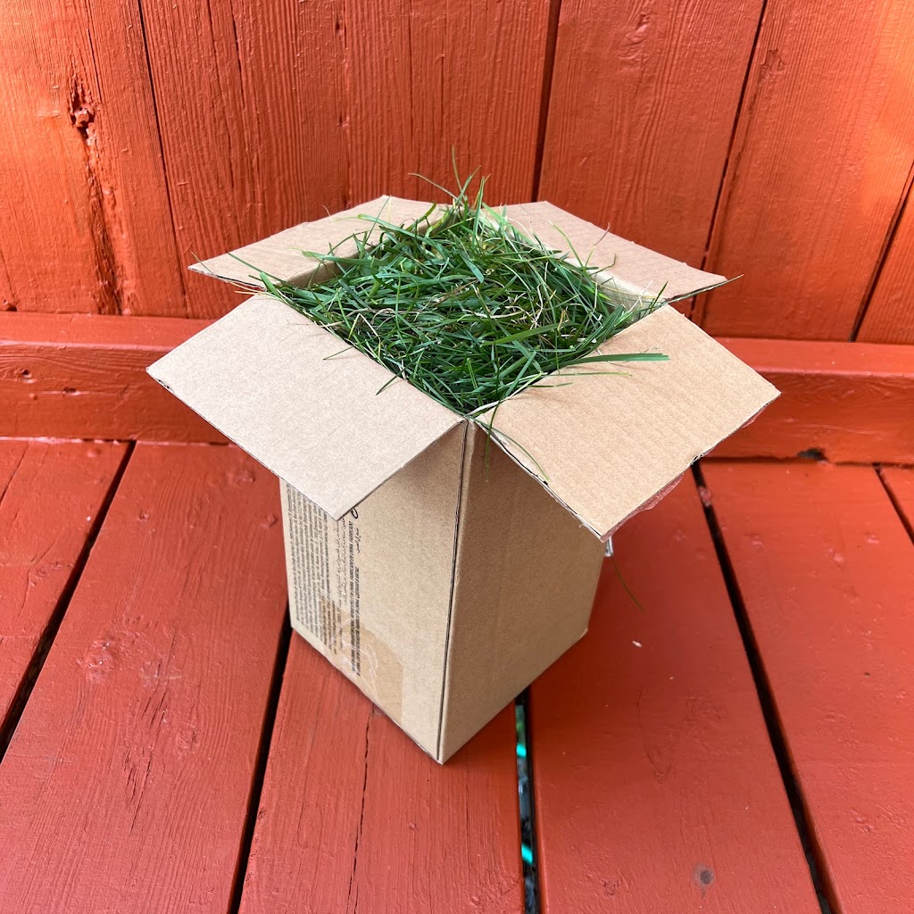 I Sell Grass | 257 Knudson Dr, Kanata, ON K2K 2N8, Canada | Phone: (343) 463-3321