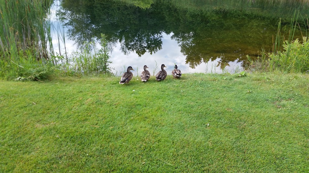 Cedar Link Golf Centre | 611 Huronia Rd, Barrie, ON L4N 7W8, Canada | Phone: (705) 727-4653
