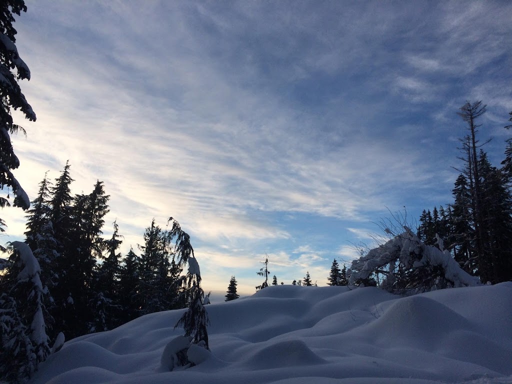 Eco Farming Group | 5876 Lougheed Hwy., Agassiz, BC V0M 1A1, Canada | Phone: (778) 987-1241