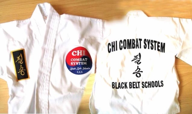 Chi Combat System Canada | Sports Centre, 605 Santa Maria Blvd, Milton, ON L9T 6J5, Canada | Phone: (905) 691-1299