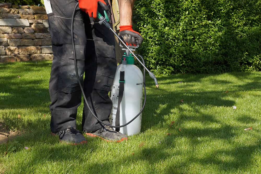 Turf Smart Lawn & Snow Care | 40 Potters Way, Woodstock, ON N4S 8Z5, Canada | Phone: (647) 701-0061