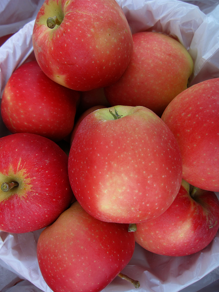 Paradis des Fruits Dunham | 519 Rue Bruce, Dunham, QC J0E 1M0, Canada | Phone: (450) 295-2667