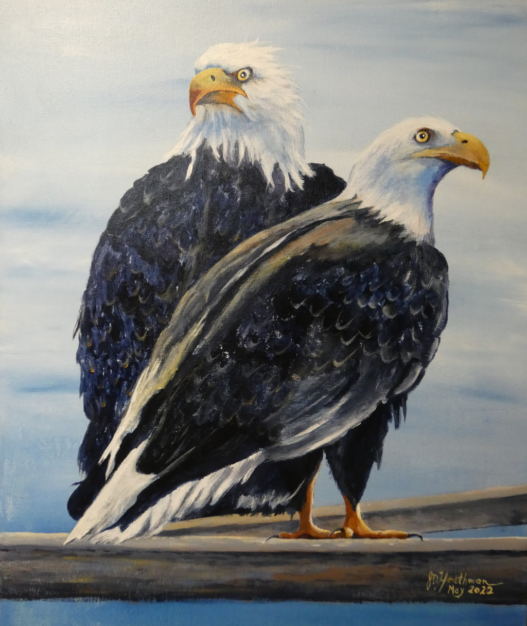Chilliwack Valley Art | 46511 Chilliwack Lake Rd, Chilliwack, BC V2R 3S2, Canada | Phone: (604) 819-0315