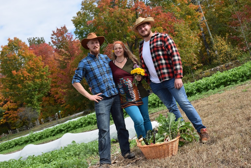 La ferme Aux Bio-Légumes | 123 Chemin Lawrence, Brigham, QC J2K 4Z8, Canada | Phone: (514) 775-9063