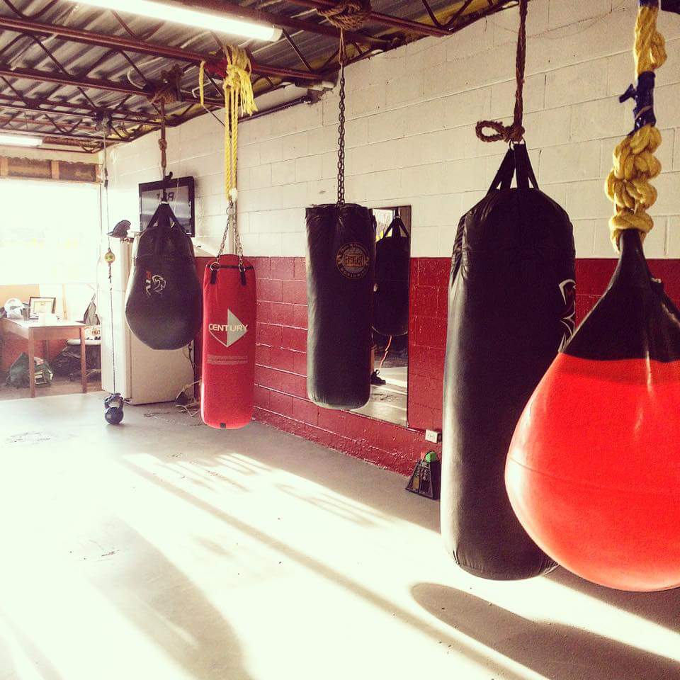 Spryfield Boxing Academy | gym | 374 Herring Cove Rd, Halifax, NS B3R 1W2, Canada | 9024892623 OR +1 902-489-2623