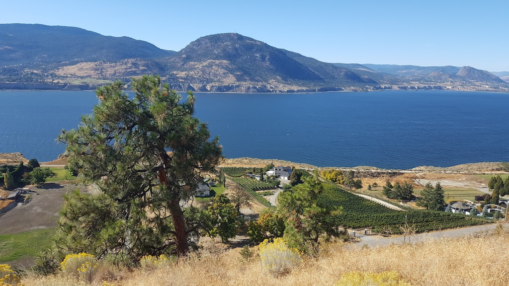 Munson Mountain Park | 49°3049. 119°3427., 4 BC-1A, Vancouver, BC V5T 3H9, Canada | Phone: (250) 490-2400