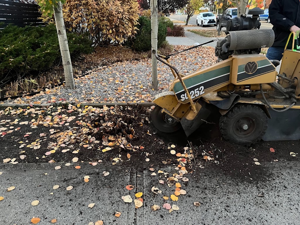 Stump Grinding Tree Service | 167 Edgemont Estates Dr NW, Calgary, AB T3A 2M4, Canada | Phone: (587) 586-1866