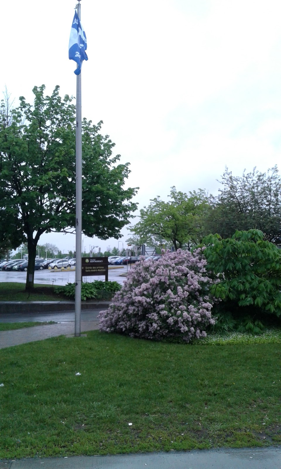 Collège Montmorency | 475 Boulevard de lAvenir, Laval, QC H7N 5H9, Canada | Phone: (450) 975-6100