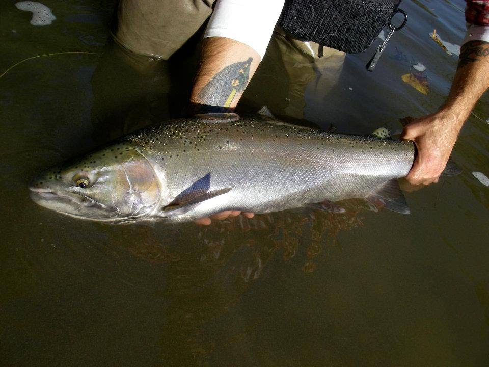 Fly Water Guiding & Fly Casting Intruction | 17 Alexander Ave, Paris, ON N3L 2V6, Canada | Phone: (226) 268-8397
