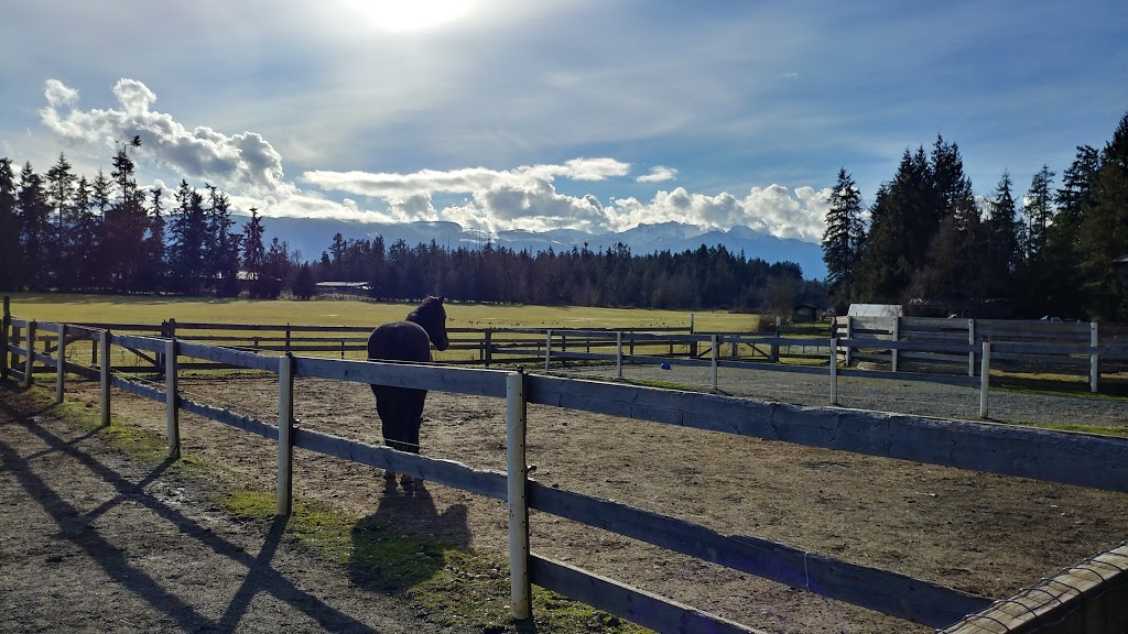 Clearwater Pond Svc | 1580 Alberni Hwy, Errington, BC V0R 1V0, Canada | Phone: (250) 248-6417