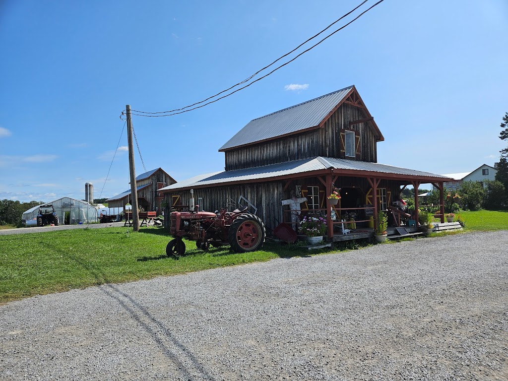Ferme Tournesol | 5050 Rte des Bouleaux, Shipshaw, QC G7P 1E3, Canada | Phone: (418) 412-4858