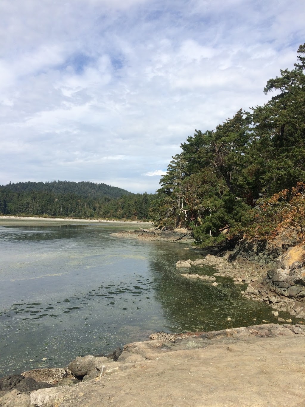 Wittys Lagoon Regional Park - Main Parking Lot | 4100 Metchosin Rd, Victoria, BC V9C 3Z6, Canada
