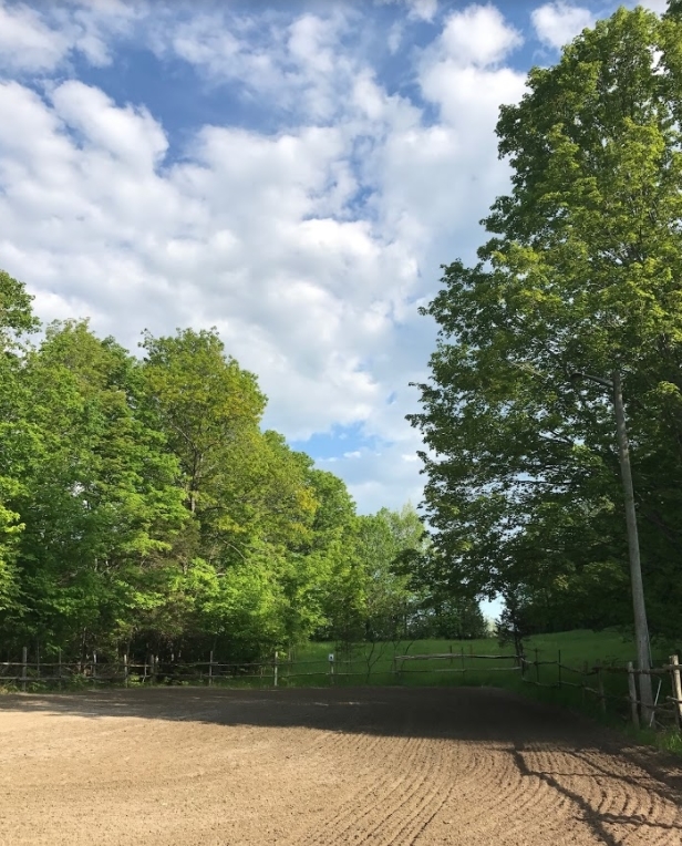 Jamesview Farm | 1823 Read Rd, Shannonville, ON K0K 3A0, Canada | Phone: (705) 957-7607