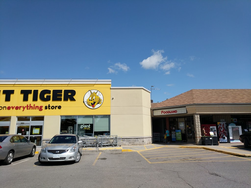 Foodland - Shelburne | 1-226 First Ave E, Shelburne, ON L9V 2X4, Canada | Phone: (519) 925-6032